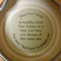 Snapple Cap Image