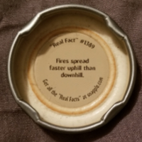 Snapple Cap Image
