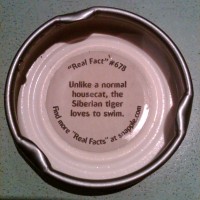 Snapple Cap Image