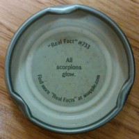 Snapple Cap Image