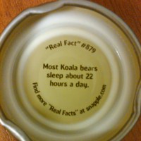 Snapple Cap Image