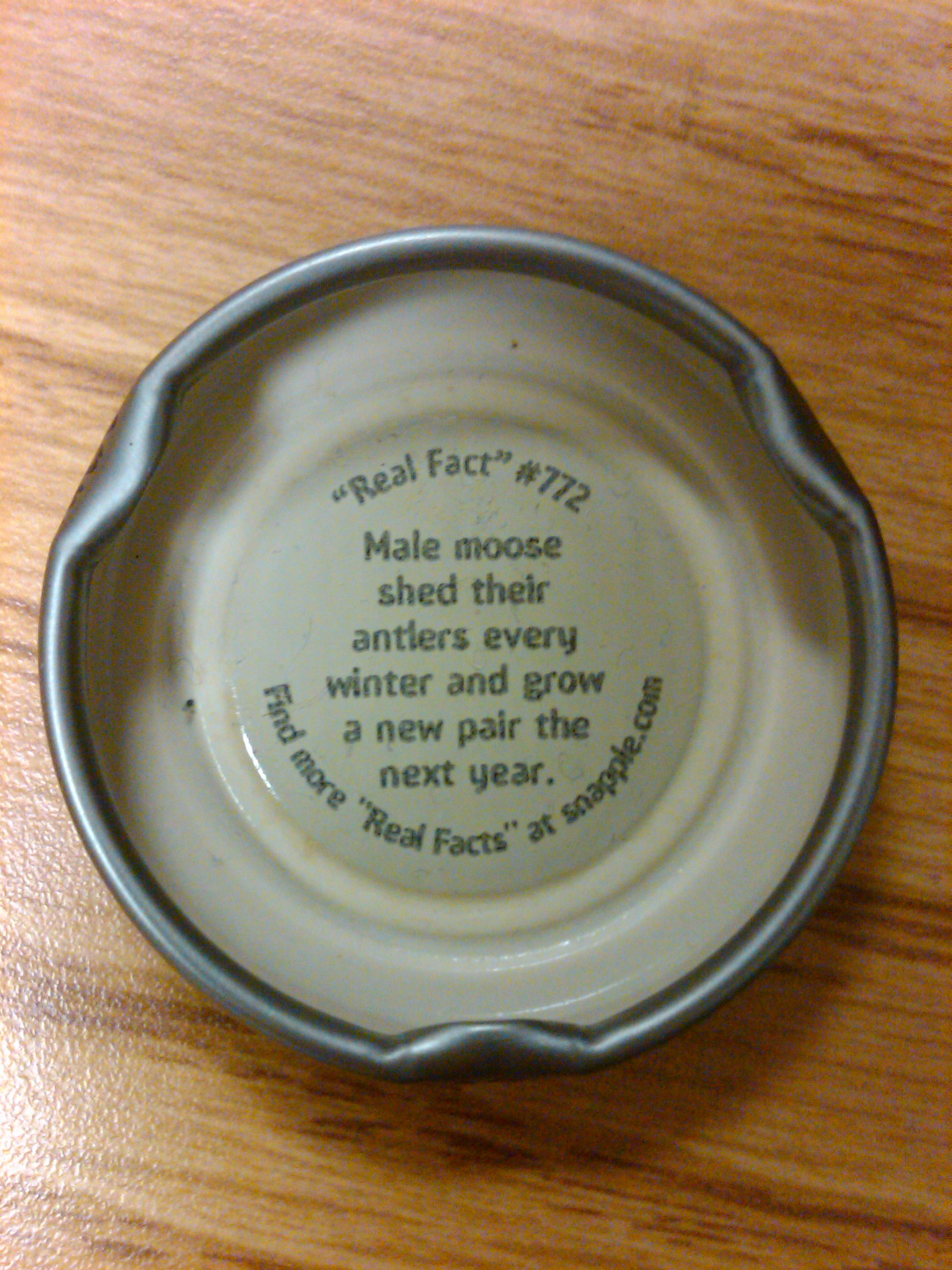 Snapple Cap Image